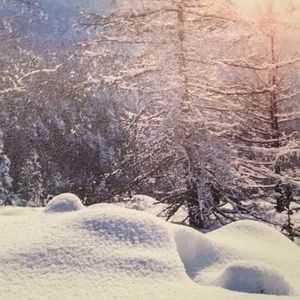 Meet your Posher, Melisa